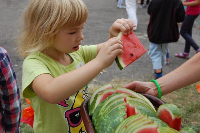 zegnajlato_13piknik 35